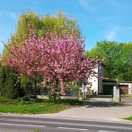 Apartment Szelag - Z Dwiema Sypialniami I Tarasem