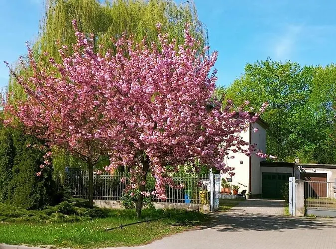 Lägenhet Szelag - Z Dwiema Sypialniami I Tarasem